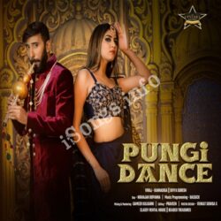  (Viraj Kannadiga Pungi Dance Movie songs)